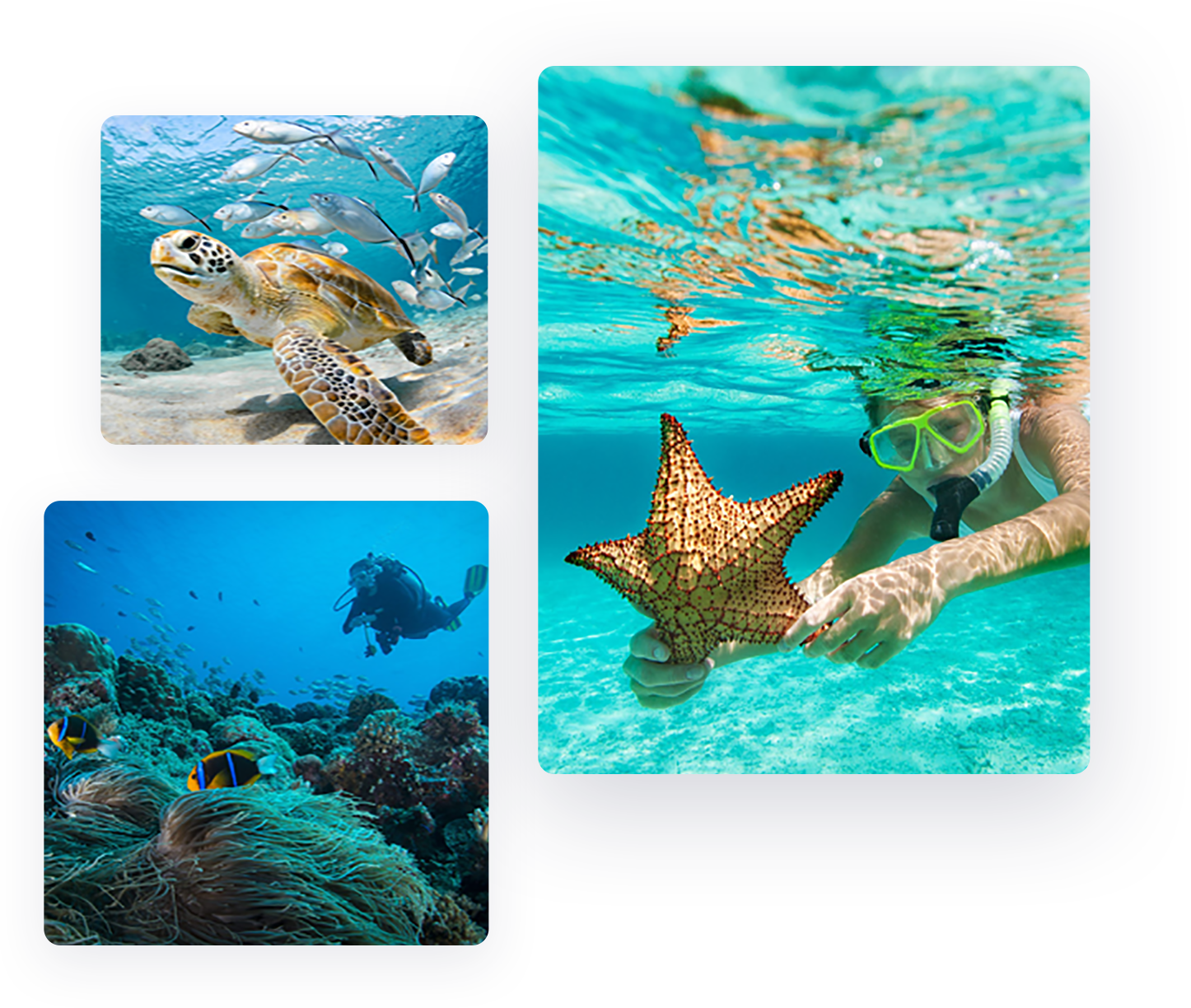 right scuba img